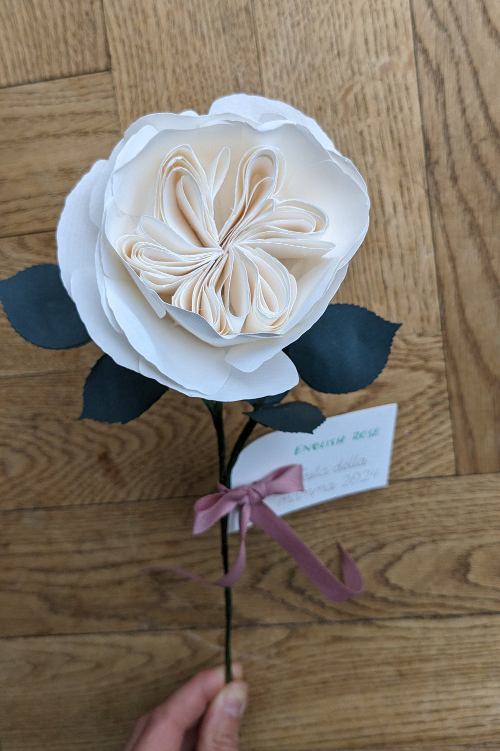 Rosa Inglese