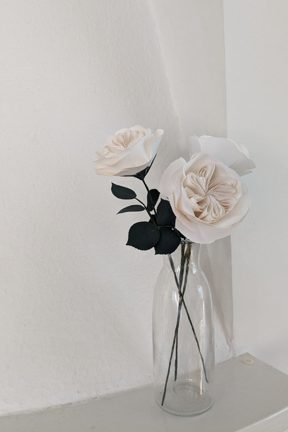Rosa Inglese