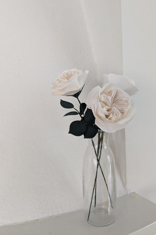 Rosa Inglese