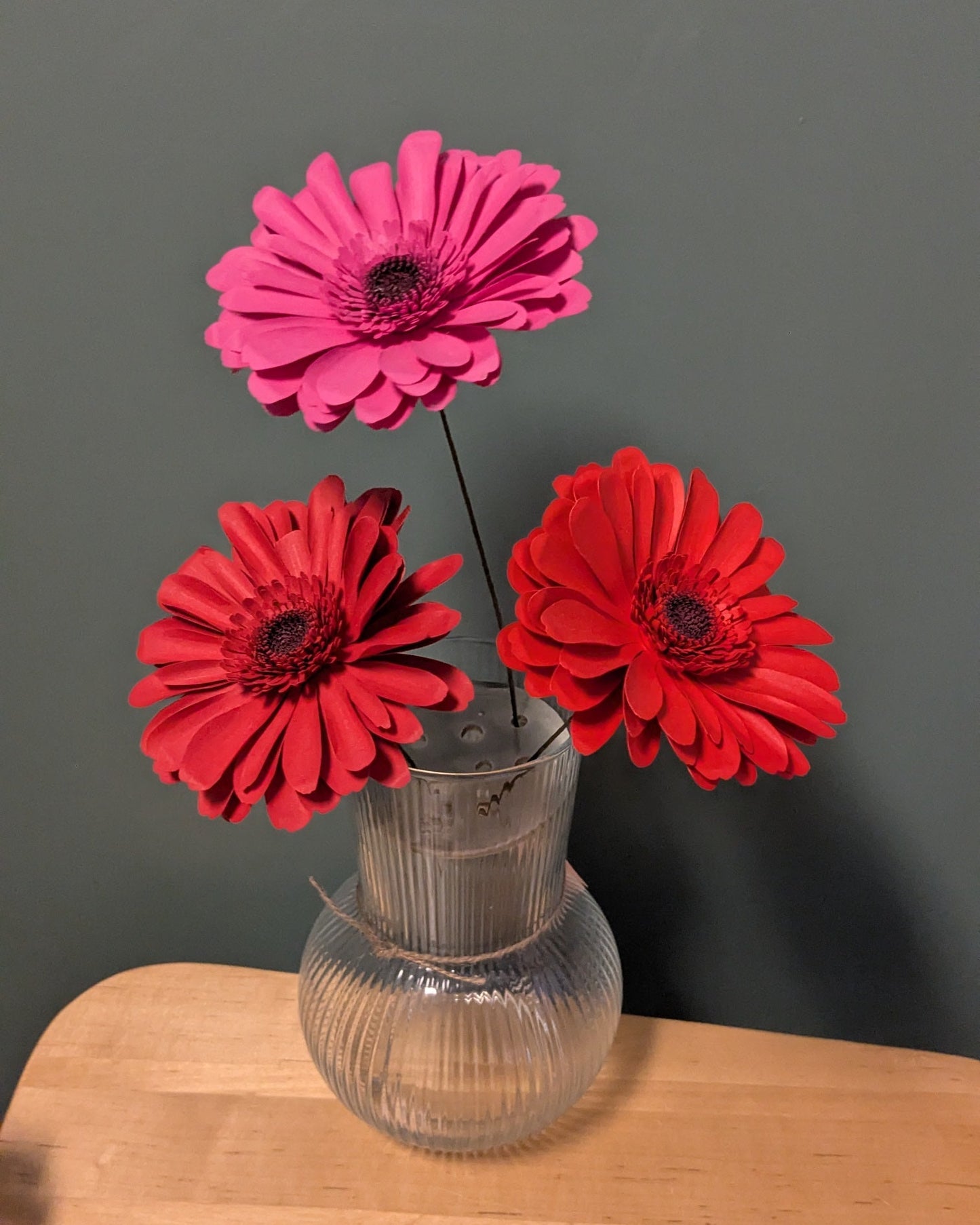 Gerbera
